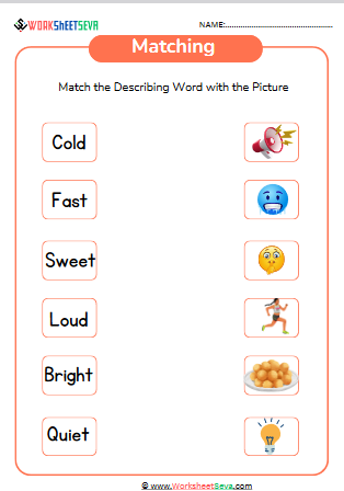 Match the Describing Words With the Picture