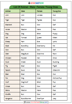 Animal Male Female and Baby Names List worksheet