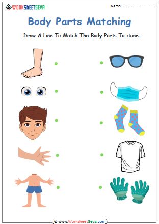 Body Parts Matching Activity worksheet