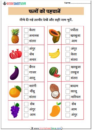 Identify Fruits in hindi worksheet activity