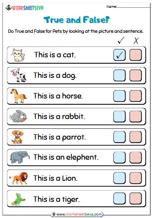 Tick Pets True False worksheet