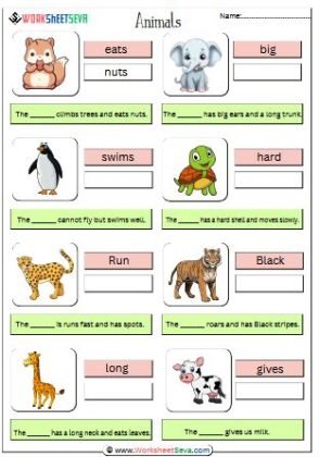 Characteristics of Animals activity
