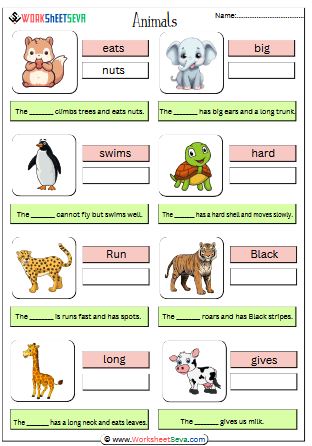 Characteristics of Animals activity