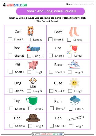 Short And Long Vowel Review activity