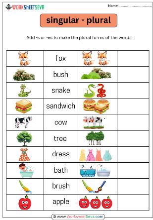 Singular Plural With Pictures worksheet