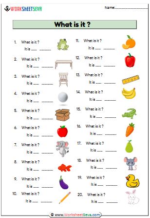 What Is It? Fill Blanks activity worksheet