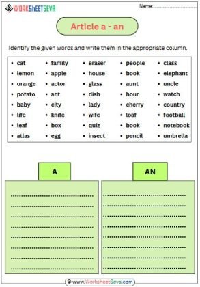 Identify A or An Article Grade 3 worksheet