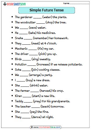 Simple Future Tense for Class 3 worksheet