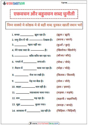 Singular and Plural Word Challenge worksheet pdf