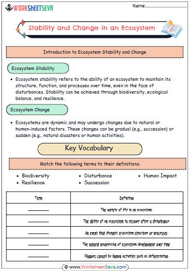 Stability and Change in an Ecosystem worksheet free