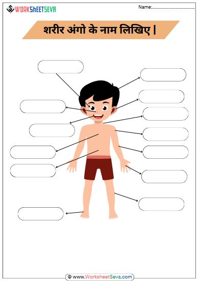 शरीर अंगो के नाम worksheet pdf