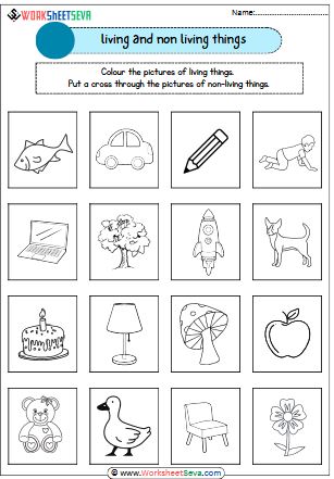 Living and Non living things worksheet pdf