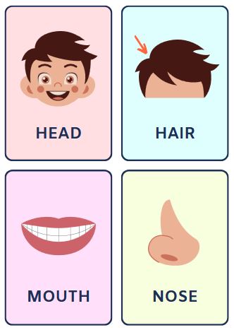 Body Parts Flashcards free printable