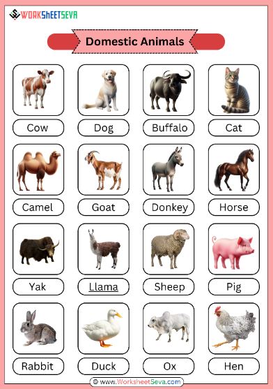 Domestic Animals worksheet free pdf