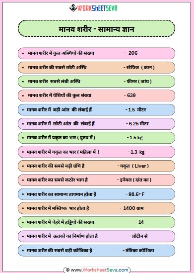 मानव शरीर - सामान्य ज्ञान worksheet