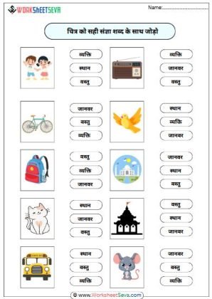 सही संज्ञा शब्द चुनिए worksheet
