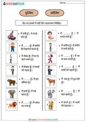 स्त्रीलिंग पुल्लिंग टेस्ट worksheet