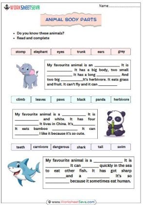 Body parts of Animals in sentences activity worksheet