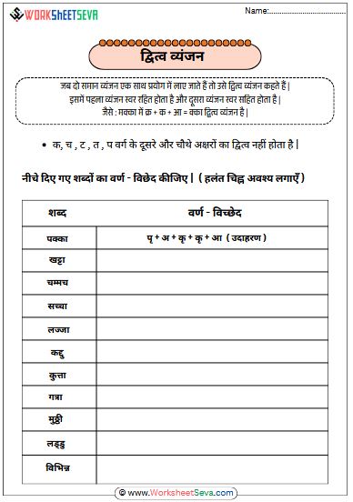 द्वित्व व्यंजन worksheet pdf