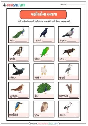 પક્ષીઓના અવાજ લખો worksheet pdf