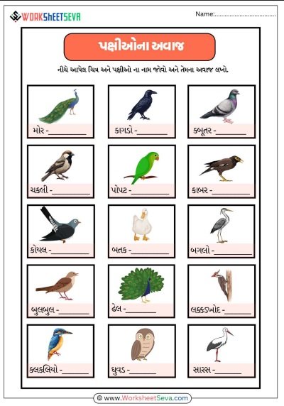 પક્ષીઓના અવાજ લખો worksheet pdf
