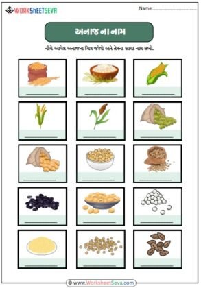 અનાજના નામ – Gujarati Grains Vocabulary Activity worksheet pdf