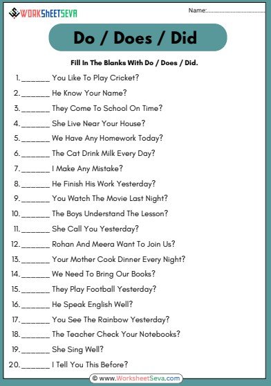 Fill In The Blanks With Do Does Did worksheet