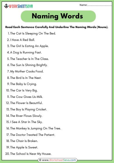 Underline The Naming Words For Class 1 worksheet pdf