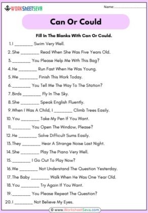 Fill In The Blanks With Can Or Could worksheet pdf