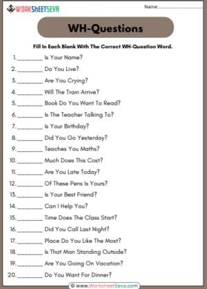 Fill In The Blanks With Wh Questions pdf
