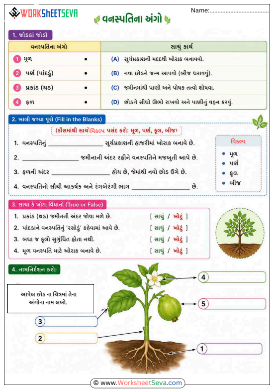 વનસ્પતિના અંગો worksheet ગુજરાતી PDF for Grade 5 students